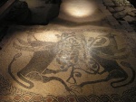 Mosaico dell'abbazia medioevale di Fruttuaria, si trova sotto il pavimento della costruzione settecentesca