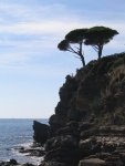 Sestri Levante