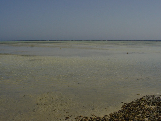 Bassa marea