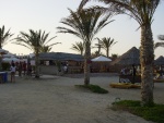 Bar della spiaggia tra le palme