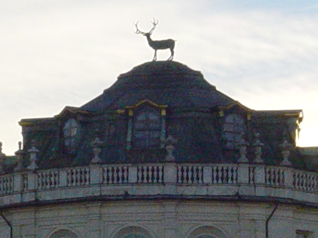 Particolare della cupola della palazzina di caccia di Stupinigi con il cervo