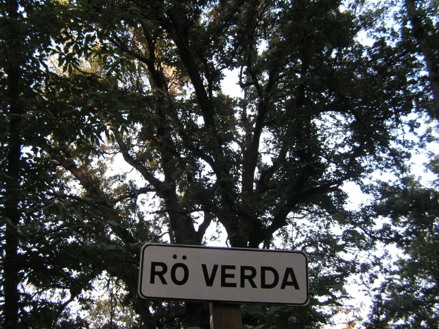 Questo albero  una Quercus Crenata,un incrocio tra un cerro ed una quercia da sughero. In Piemonte ve ne sono solo altri 2 esemplari