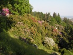 Highlight for Album: Burcina Fiorita 2007