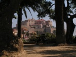 Calvi