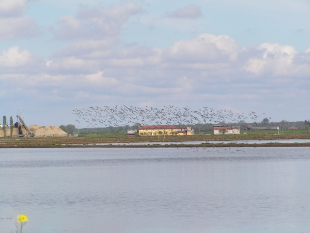 Stormo in volo