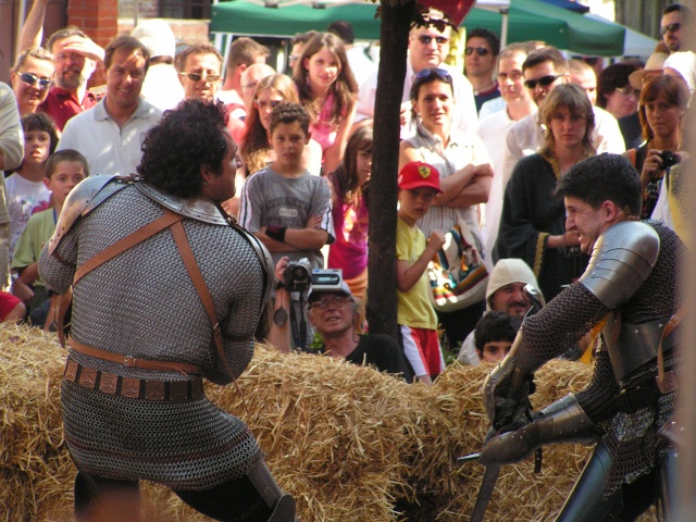 Combattimento