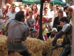 Combattimento