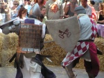 Duello con spade e scudi