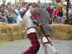 Combattimento con bastoni corti
