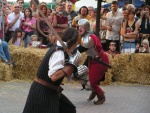 Highlight for Album: Furor et Ferrum II