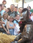 Duellante con armatura