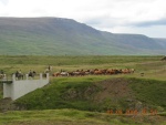 islanda anto 068