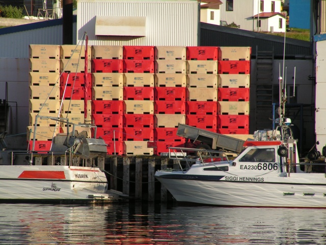 139pict3407.jpg