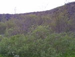 148pict3428.jpg