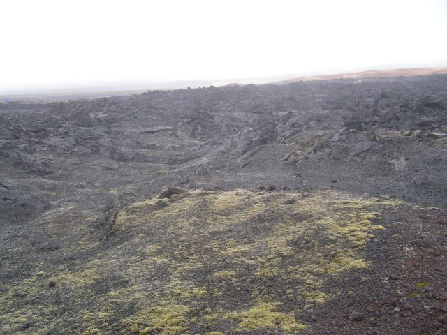 218pict3553.jpg