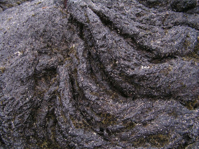 219pict3556.jpg
