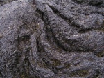 219pict3556.jpg