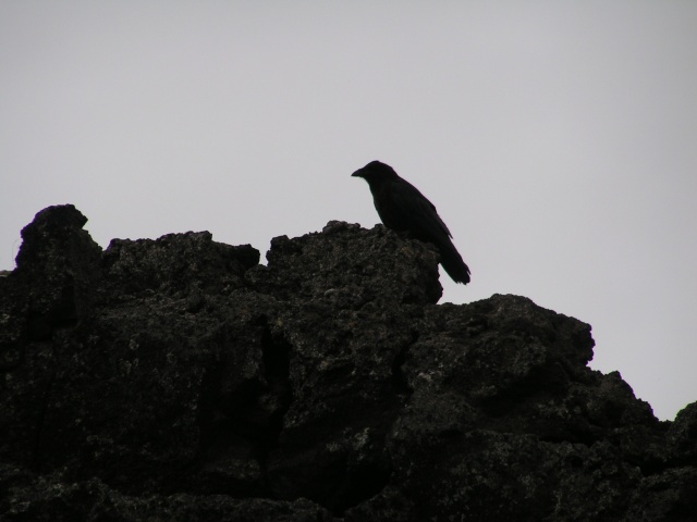 237pict3598.jpg