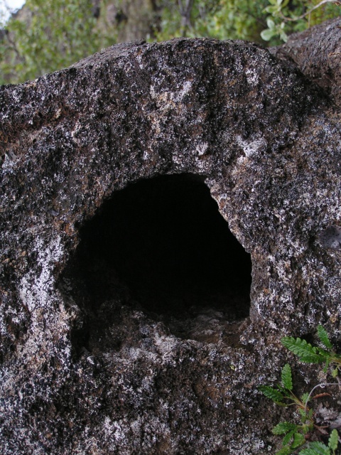 239pict3595.jpg