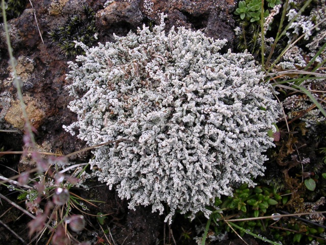 24dscn4450.jpg