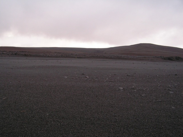 265pict3642.jpg