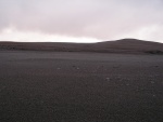 265pict3642.jpg