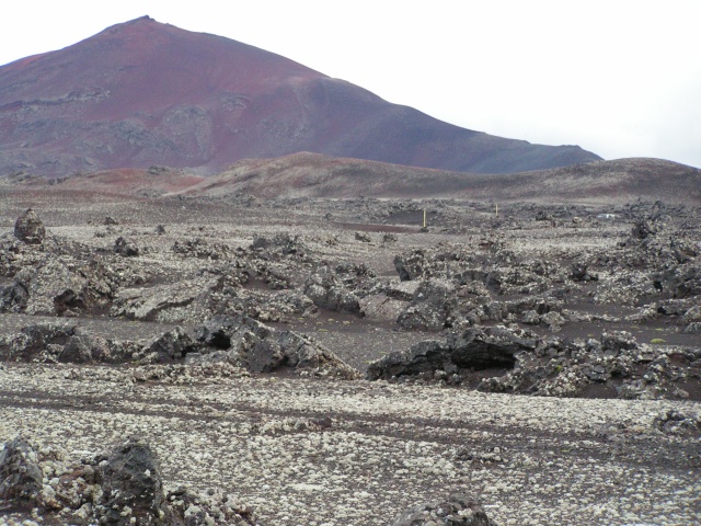 270pict3647.jpg