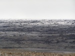 275pict3656.jpg