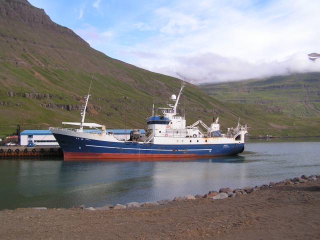 313pict3714.jpg