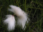 319pict3723.jpg