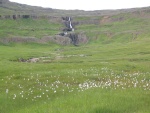 321Escursione Seydisfjordur-Vestdalur 339.jpg