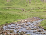 323dscn4846.jpg
