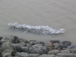 332Skalafellsjokull 361.jpg