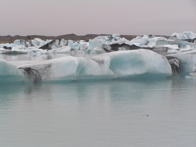 335pict3761.jpg