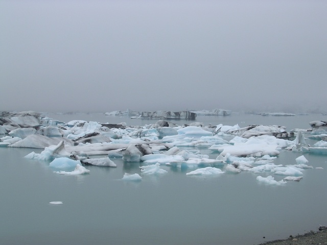 343dscn4875.jpg