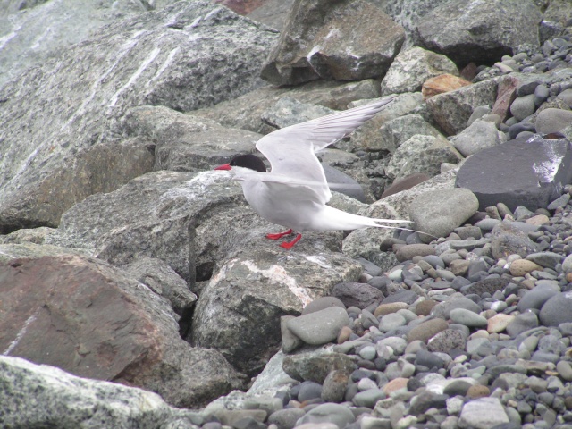 355pict3799.jpg