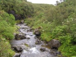 372pict3818.jpg