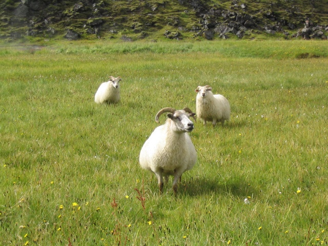 392Landmannalaugar 423.jpg