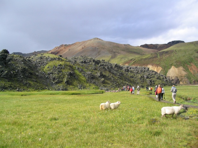 393Landmannalaugar 425.jpg