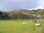 393Landmannalaugar 425.jpg
