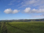 418Presso Holaskjol 460.jpg