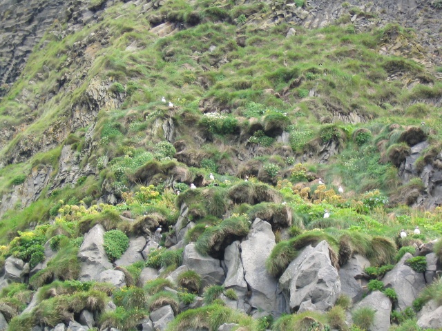 425Reynisfjara 466.jpg
