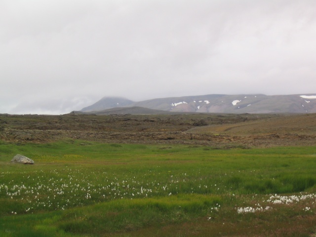 53Hveravellir 067.jpg