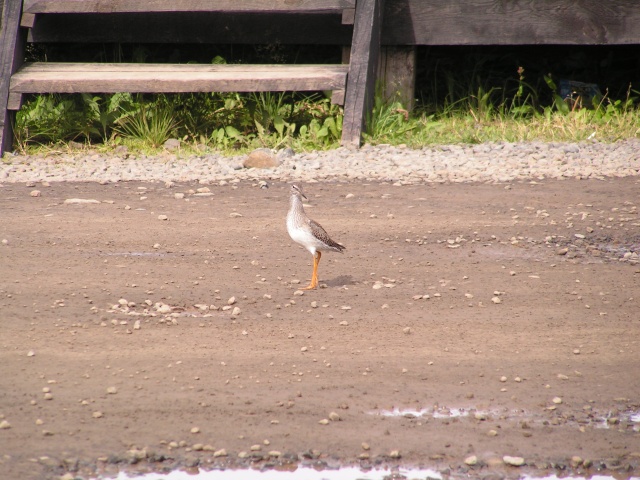 78pict3233.jpg