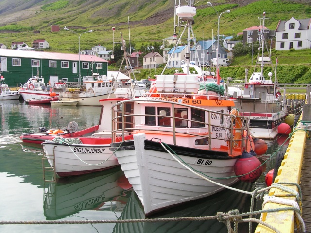 79pict3236.jpg