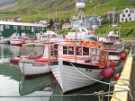79pict3236.jpg