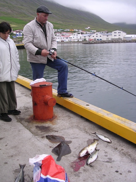 88dscn4540.jpg
