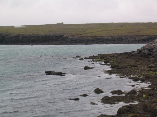 img_0661.jpg