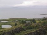 img_0686.jpg