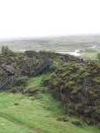 img_0690.jpg